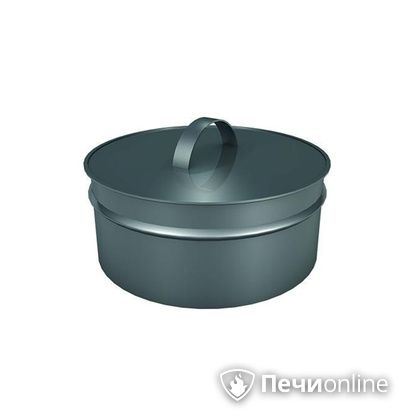 Заглушки Теплов и Сухов Заглушка ревизии Термо-Р 304 0.5 D300(200) в Твери