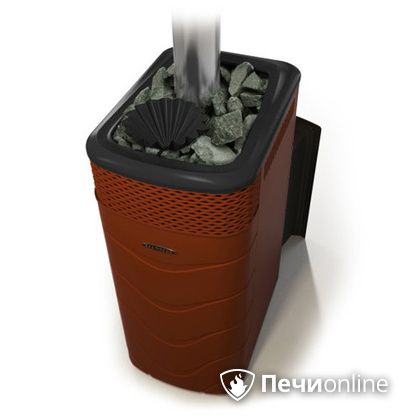 Дровяная банная печь TMF Гейзер XXL 2017 Inox Витра закрытая каменка терракота в Твери